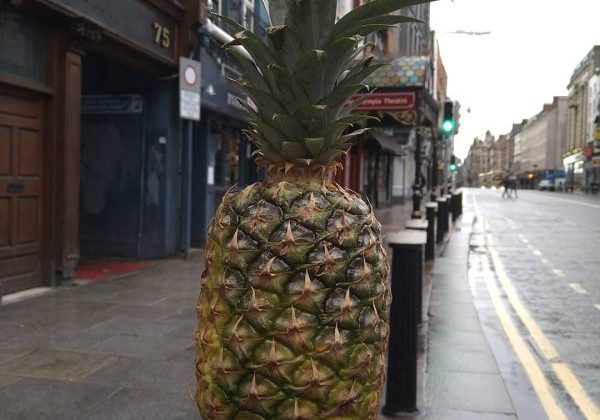 gallery-06-freshpoint-600x600